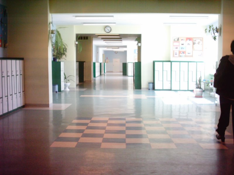 w_8.jpg