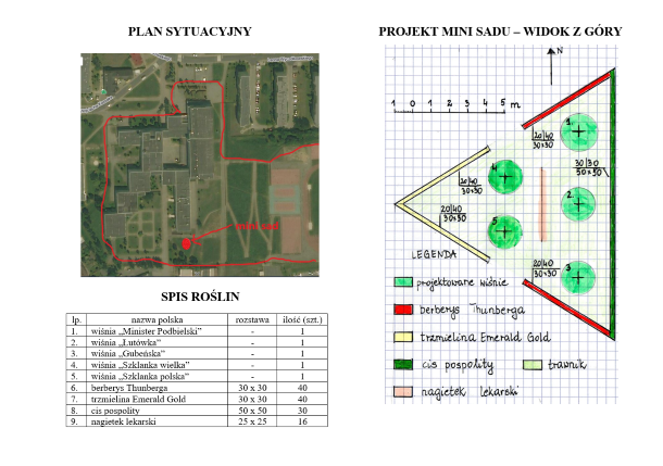 projekt mini sadu Planeta wiśni