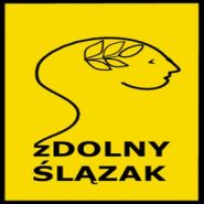 zdolnyslazak